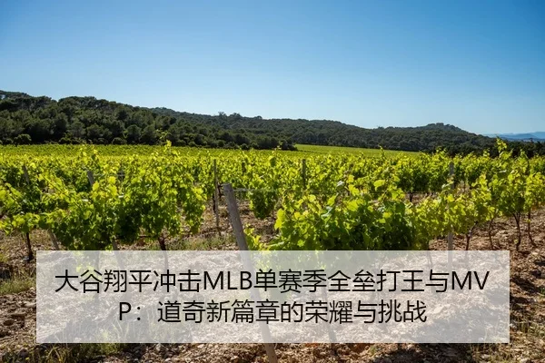 大谷翔平冲击MLB单赛季全垒打王与MVP：道奇新篇章的荣耀与挑战