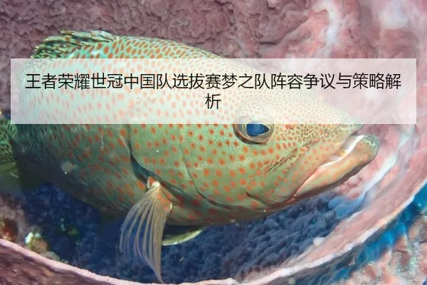 王者荣耀世冠中国队选拔赛梦之队阵容争议与策略解析