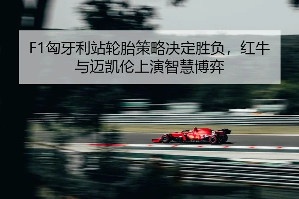 xiong-ya-li-zhan-lun-tai-ce-lve-jue-ding-sheng-fu-hong-niu-yu-mai-kai-lun-shang-yan-zhi-hui-bo-yi-2-173.jpg