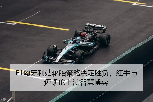 xiong-ya-li-zhan-lun-tai-ce-lve-jue-ding-sheng-fu-hong-niu-yu-mai-kai-lun-shang-yan-zhi-hui-bo-yi-3-657.jpg