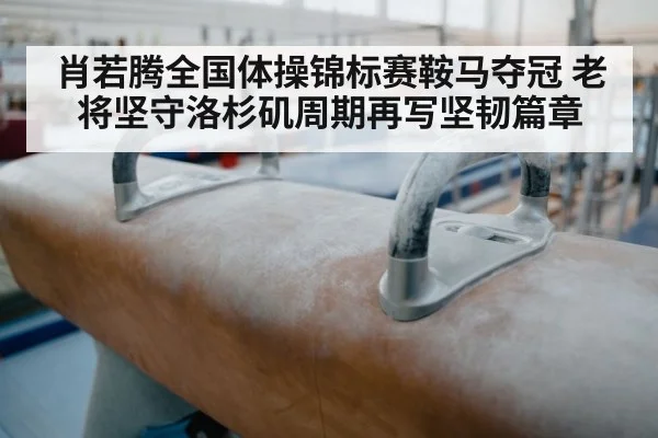 肖若腾全国体操锦标赛鞍马夺冠 老将坚守洛杉矶周期再写坚韧篇章